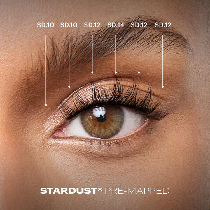 STARDUST