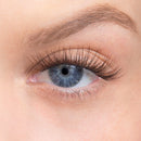 Amplify / Truffle / 14mm - Long