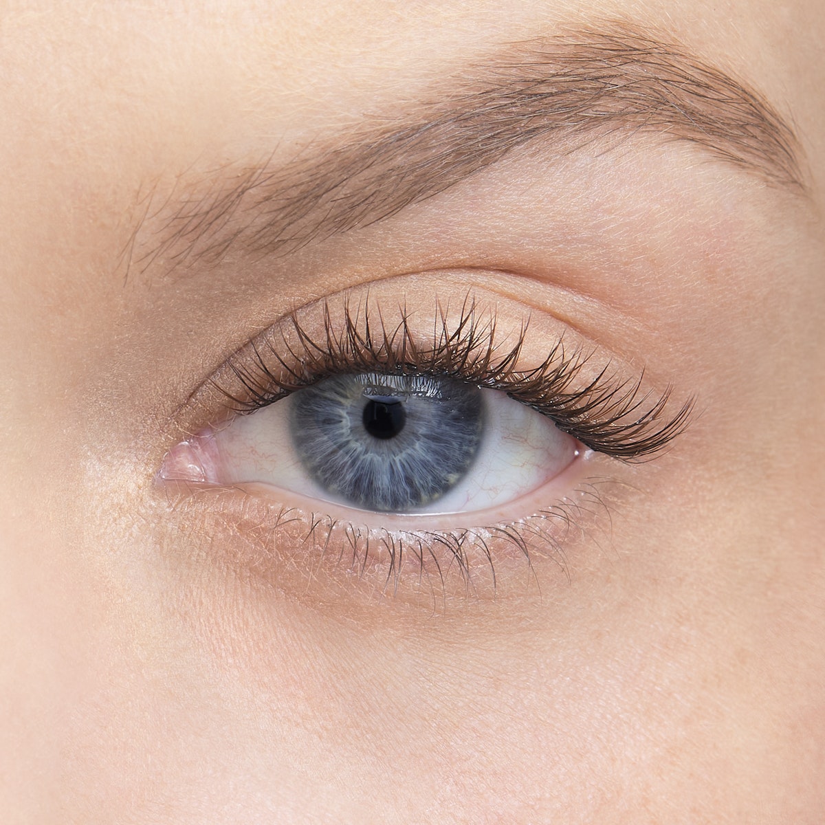 Amplify / Truffle / 8mm - Extra Short