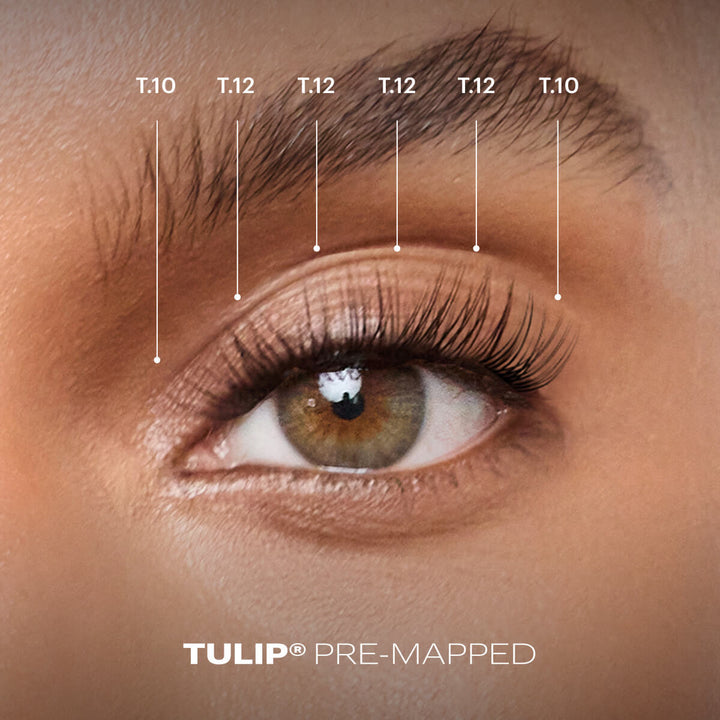 TULIP