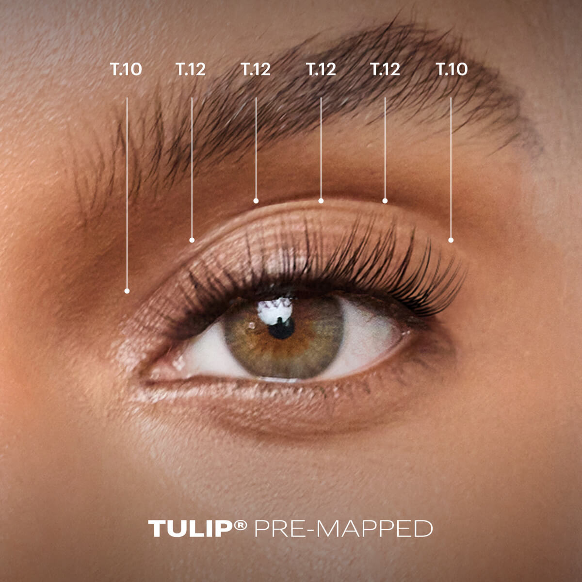 Tulip