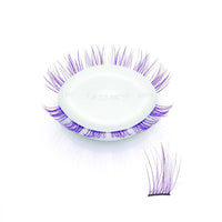 Amplify / Violet, Curl / Violet