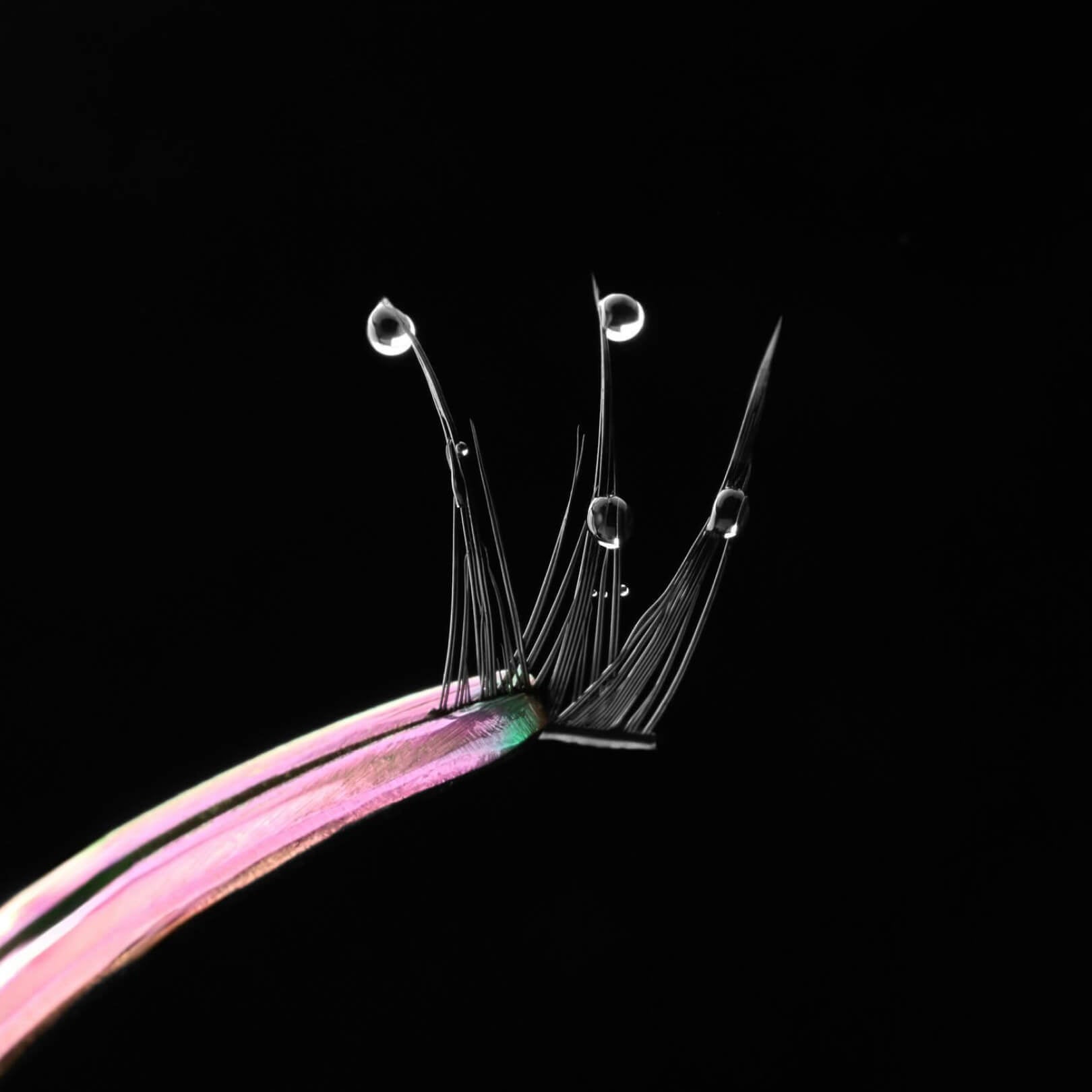 all, Fuse Control Wand holding up a Wet Gossamer Lash with droplets of water attached