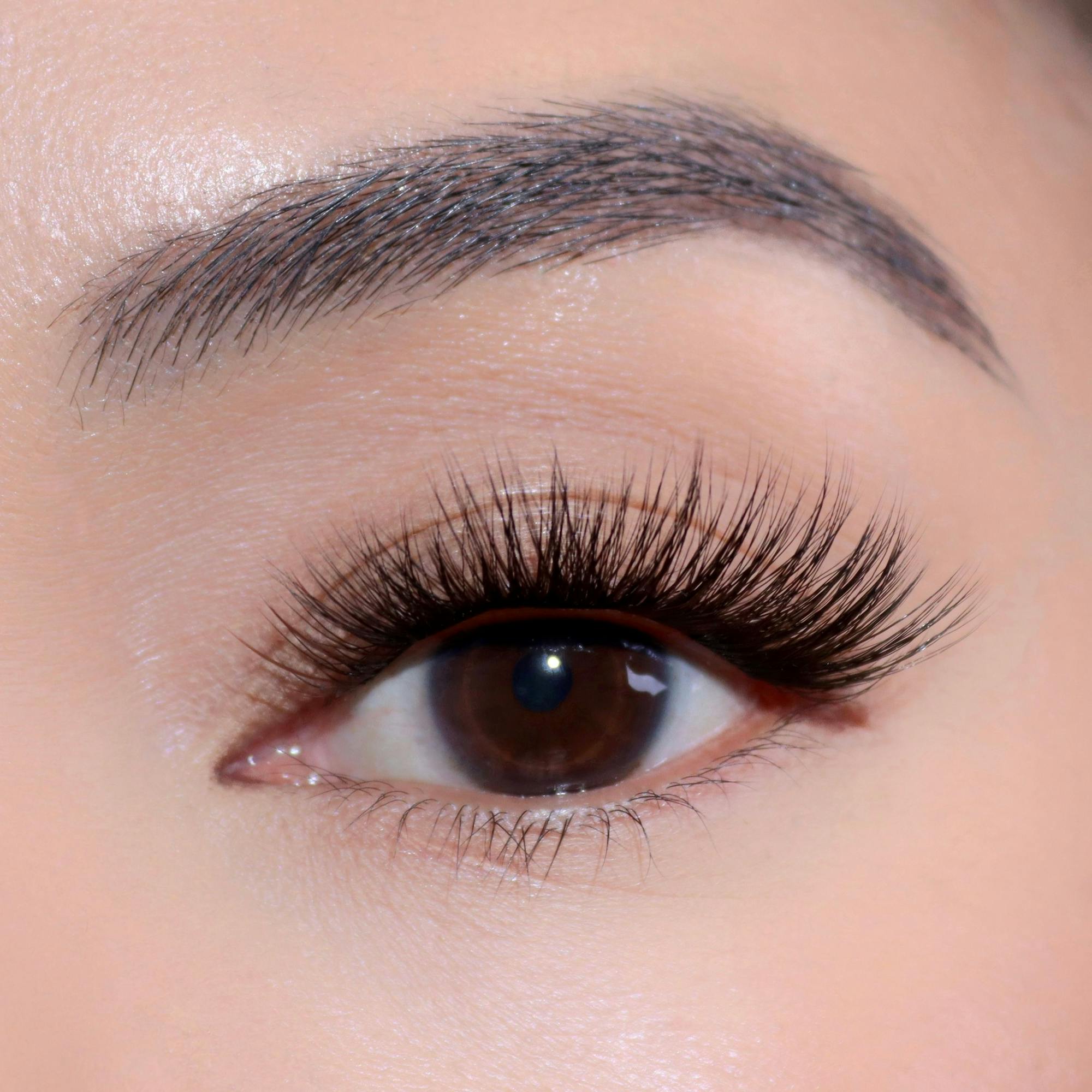 all
Velvet Crush Bundle
DIY Lash Extensions
DIY Lashes
Lashify