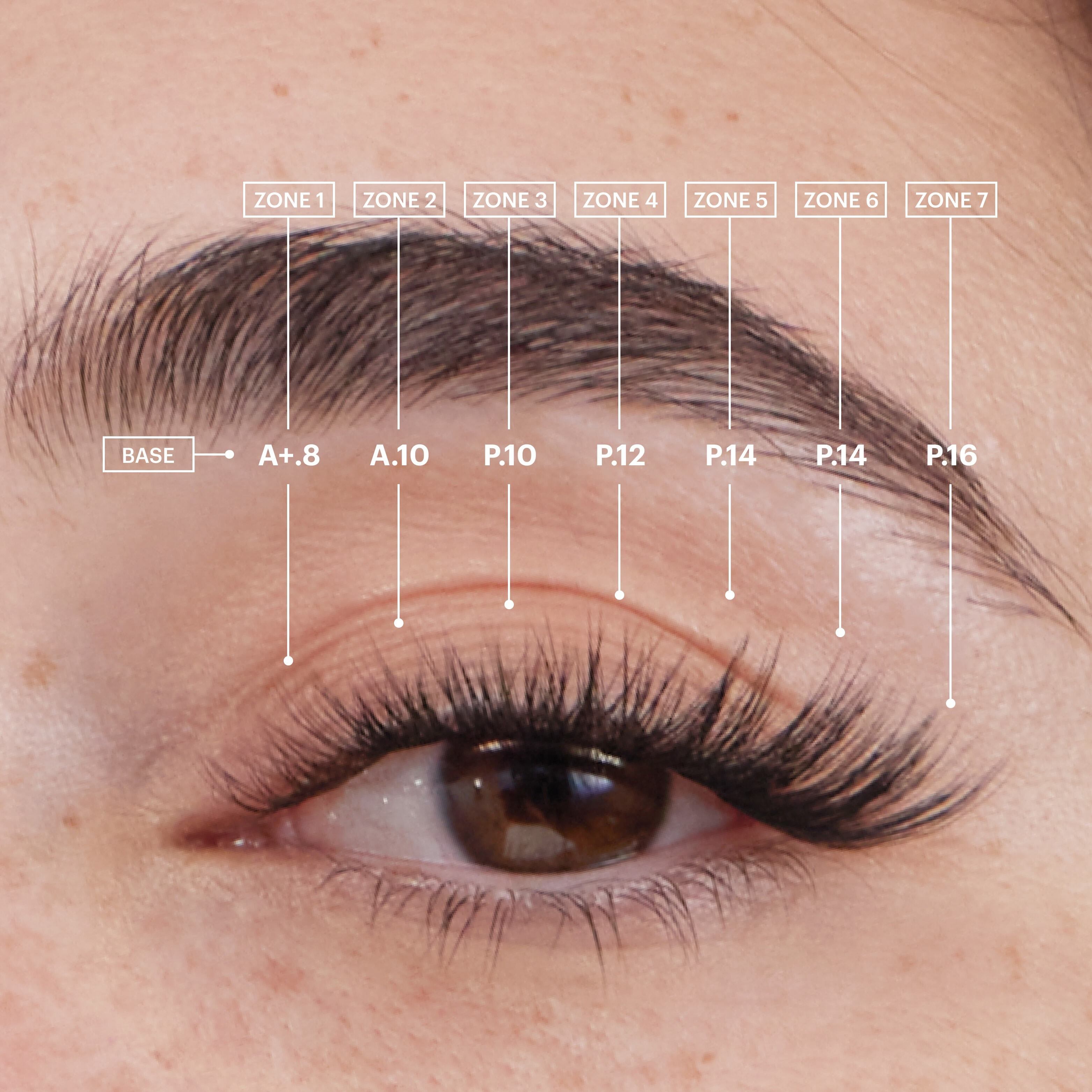 The Cat Eye Gossamer® Bundle