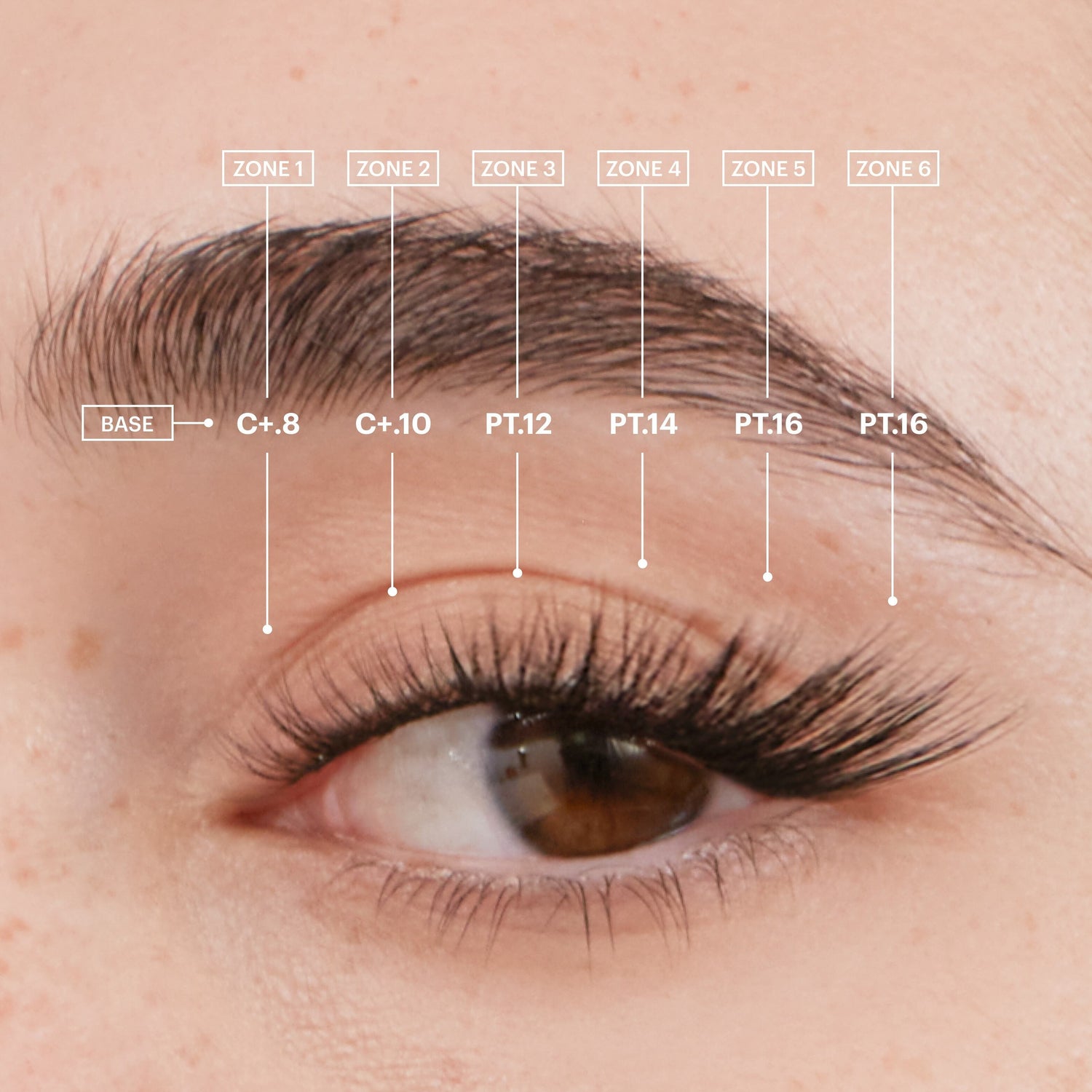 The Fox Eye Gossamer® Lash Bundle Unleash Your Inner Vixen Lashify