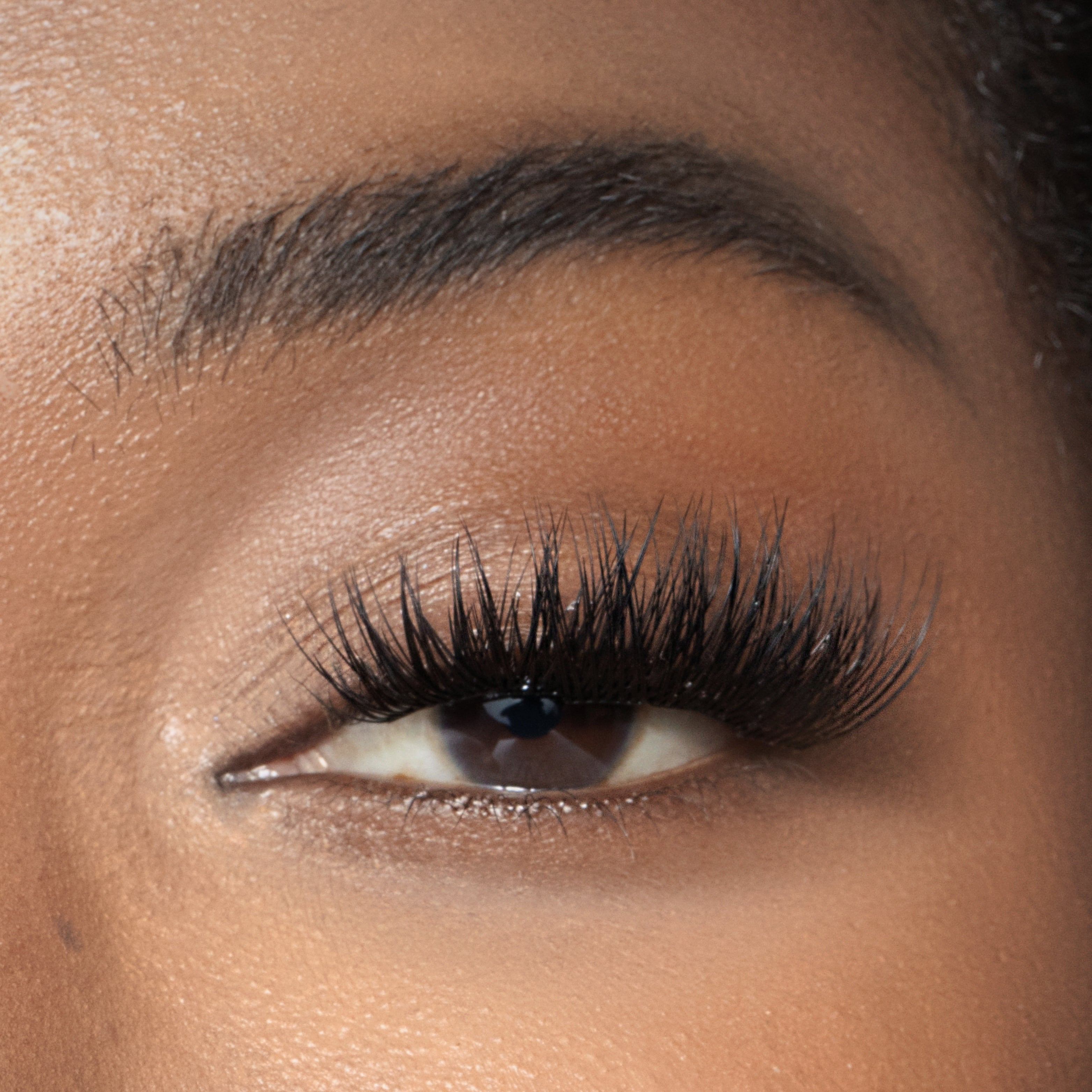 The High-Class Wing Gossamer® Set