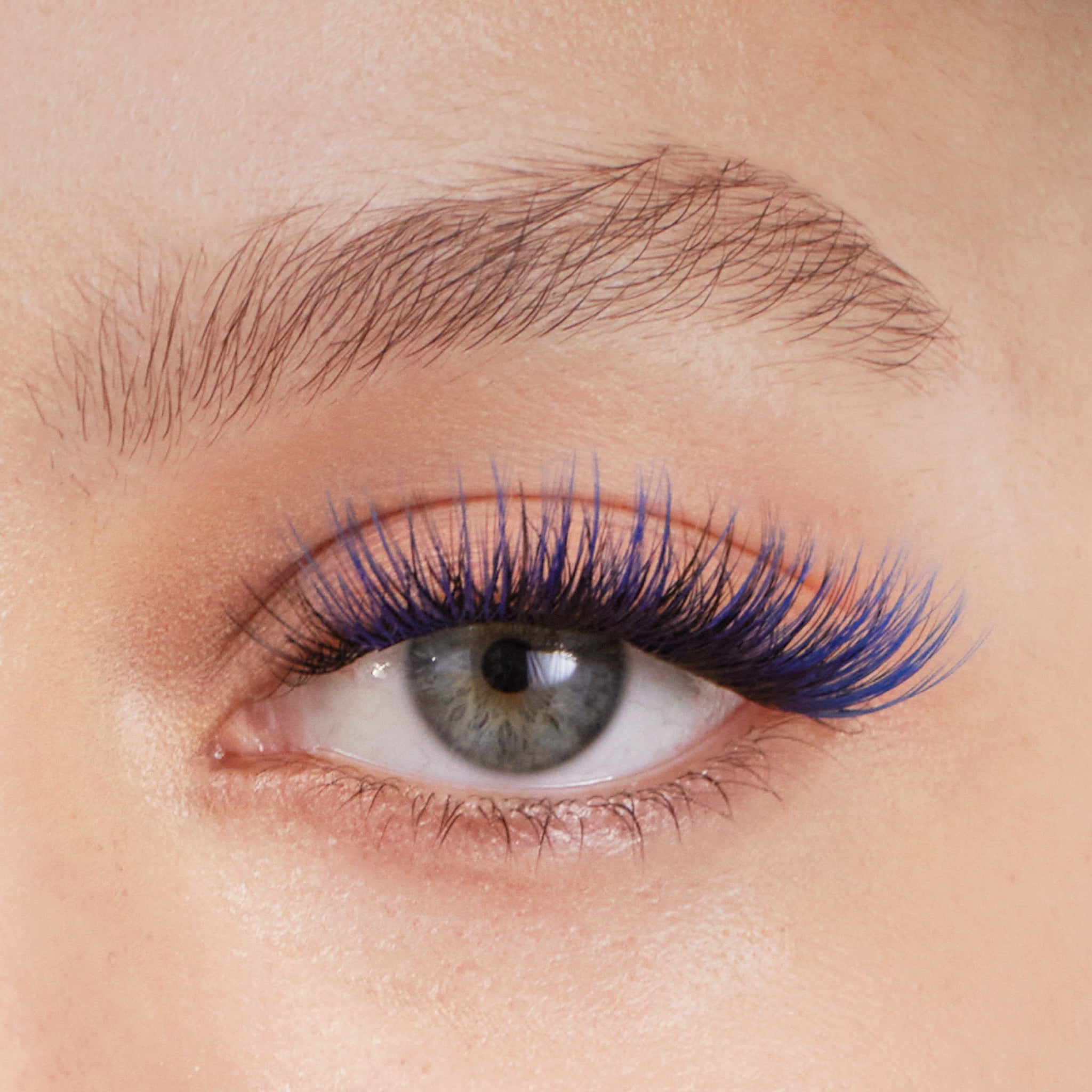 The Royal Ombre Gossamer® Bundle