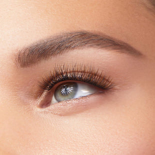 Curl / Truffle / 12mm - Medium  Curl / Truffle / 14mm - Long