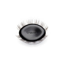 Amplify / Minx / 12mm - Medium
